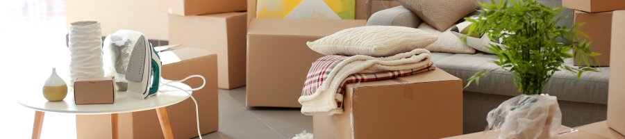 zꊇςT[rXuzv̎gƃbg